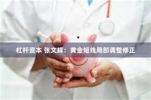 杠杆资本 张文辉：黄金短线局部调整修正