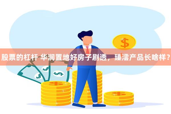 股票的杠杆 华润置地好房子剧透，臻澐产品长啥样？