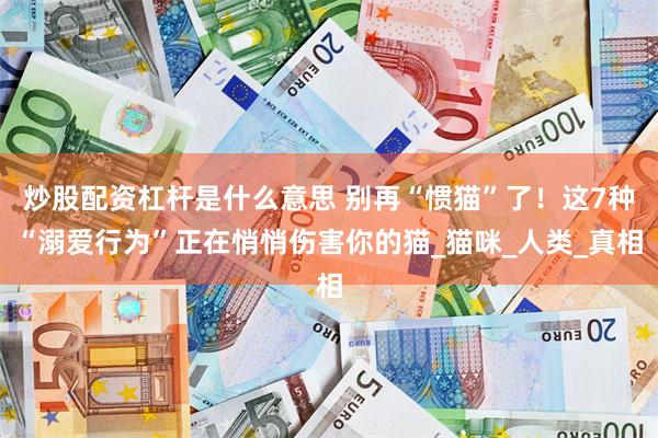 炒股配资杠杆是什么意思 别再“惯猫”了！这7种“溺爱行为”正在悄悄伤害你的猫_猫咪_人类_真相