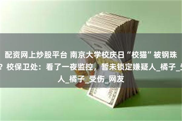 配资网上炒股平台 南京大学校庆日“校猫”被钢珠打碎头骨？校保卫处：看了一夜监控，暂未锁定嫌疑人_橘子_受伤_网友