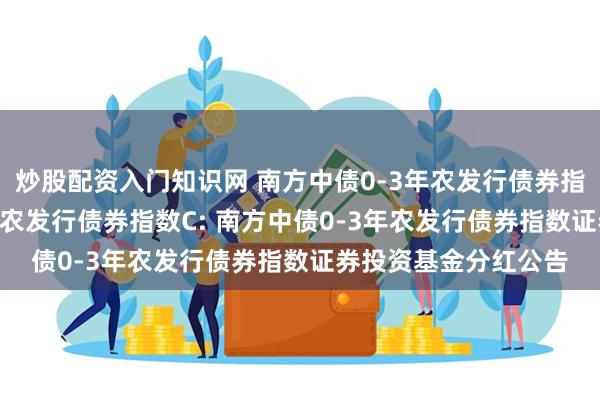 炒股配资入门知识网 南方中债0-3年农发行债券指数A,南方中债0-3年农发行债券指数C: 南方中债0-3年农发行债券指数证券投资基金分红公告