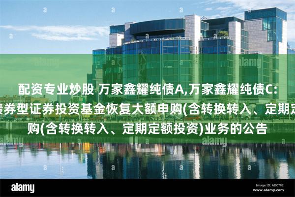 配资专业炒股 万家鑫耀纯债A,万家鑫耀纯债C: 关于万家鑫耀纯债债券型证券投资基金恢复大额申购(含转换转入、定期定额投资)业务的公告