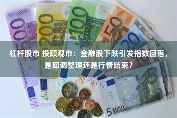 杠杆股市 投顾观市：金融股下跌引发指数回落，是回调整理还是行情结束？