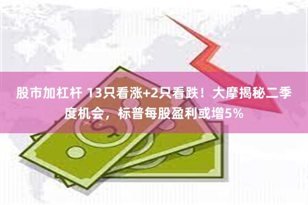 股市加杠杆 13只看涨+2只看跌！大摩揭秘二季度机会，标普每股盈利或增5%