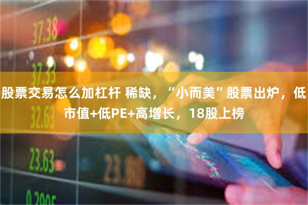 股票交易怎么加杠杆 稀缺，“小而美”股票出炉，低市值+低PE+高增长，18股上榜