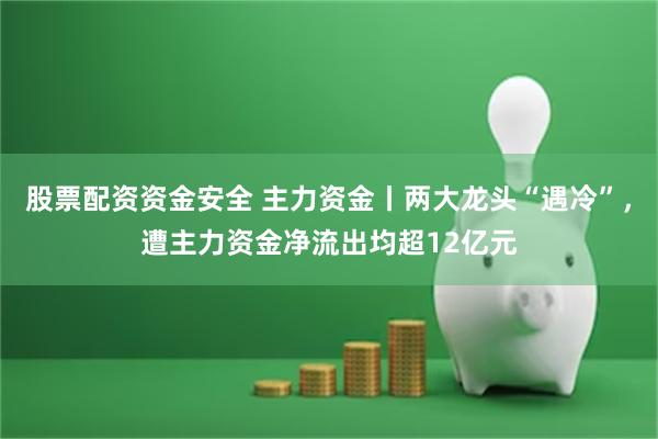股票配资资金安全 主力资金丨两大龙头“遇冷”，遭主力资金净流出均超12亿元