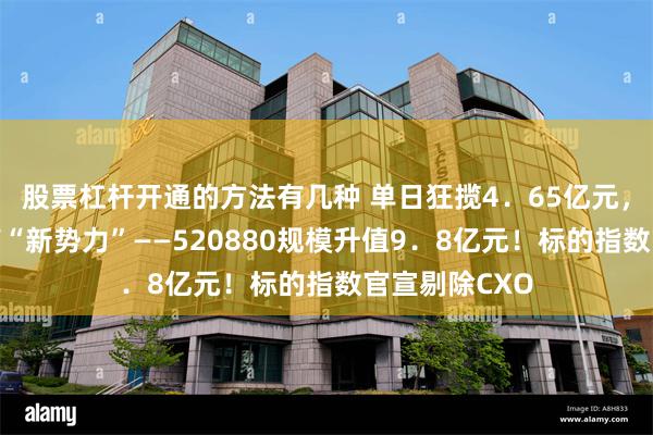 股票杠杆开通的方法有几种 单日狂揽4．65亿元，高人气创新药“新势力”——520880规模升值9．8亿元！标的指数官宣剔除CXO